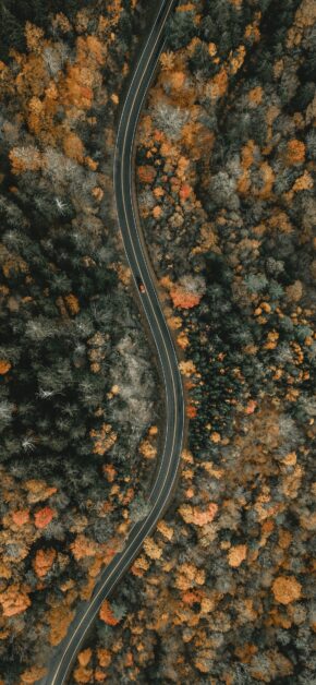 Autumn Trace #7
