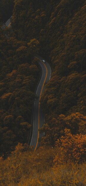 Autumn Trace #8