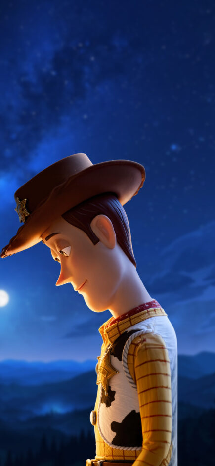 Woody & Bo Peep Starry Night — 2/2