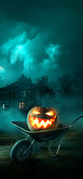 Pumpkin Halloween