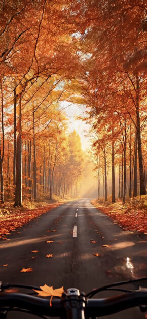 Bike View in Autumn