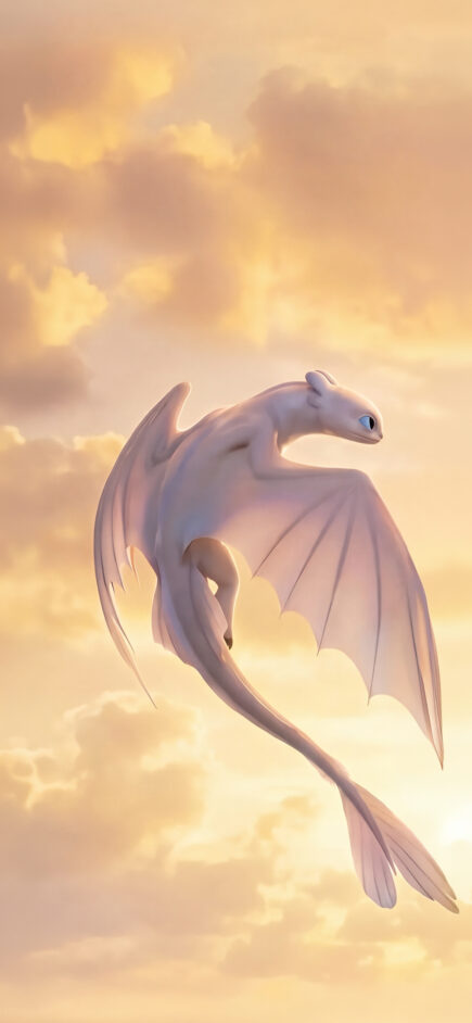 Light Fury Sunset Flight — 1/2
