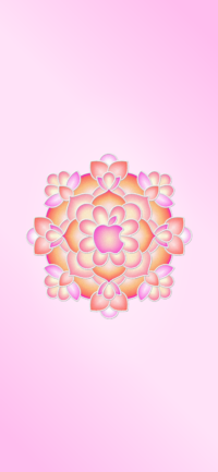 Apple Rangoli - Pink