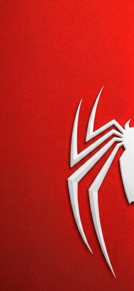 Red Spider Logo Minimal — 1/2