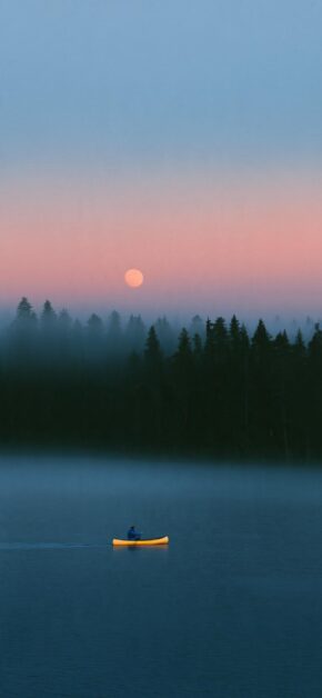 Solitude on the Misty Lake