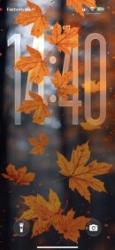 Vibrant Autumn Leaves | Depth Effect + 3D