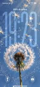 Wish Dandelion Seeds | Depth Effect + 3D